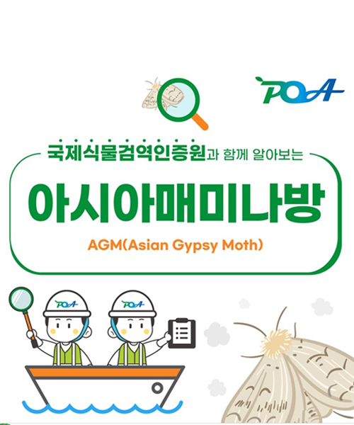 국제식물검역인증원과 함께 알아보는 아시아매미나방 AGM(Asian Gypsy Moth)